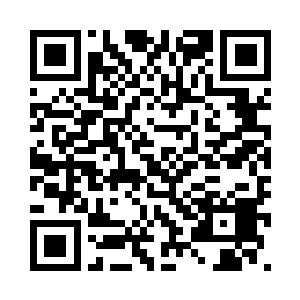 原本他想为他们的未来而坚持不懈二维码生成