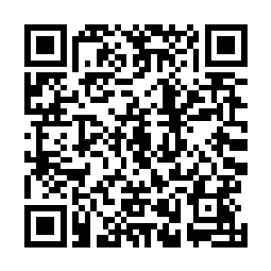 原本他还期望那两个已经杀掉猪妖与蛇妖的分身及时来援二维码生成