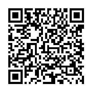 原本以为来到祝南镇指导工作是件轻松愉快的事情二维码生成