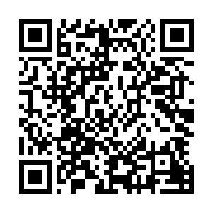 原本以为还会相处很长一段时间的人却在突然之间就离开了二维码生成