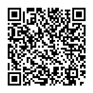 原本侧面插手枪弹匣和消音器的细长包里一下拔出黑色的战术甩棍二维码生成