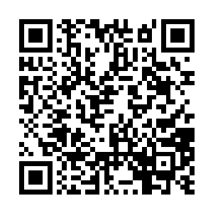 原本僵硬的手居然抬了起来一抓扣住冷无情的胳膊二维码生成