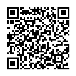 原本准备跨出的右腿突然像一条毒蛇般扬首吐信二维码生成