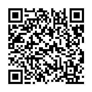 原本几个跟着进来的学生一下子有些不知所措起来二维码生成