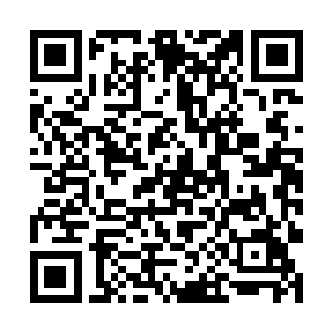 原本刚刚恢复的几丝元气此时也再一次呗打回了原型二维码生成