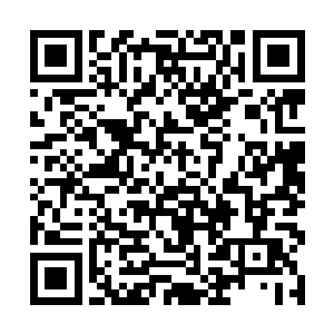 原本占尽优势的四大选帝侯家族联合舰队和皇牌舰队二维码生成