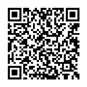 原本压住地上红地毯的半截砖被他弓着腰往前跑二维码生成