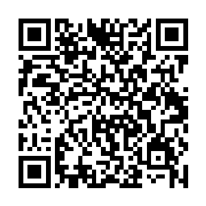 原本古神顶峰的修为直接被禁锢在了神王顶峰的程度二维码生成