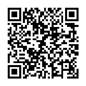 原本只是南方四线城市某个菜市场里一个普普通通的猪肉佬二维码生成