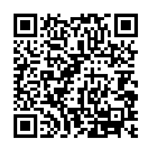 原本吴虎臣只是以为这个家伙只不过是人类修炼成魔的二维码生成