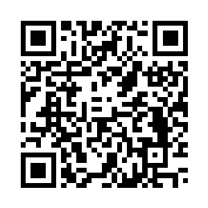 原本在树枝间寻找飞鸟身影的视线二维码生成