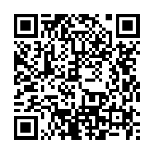 原本在空中飞行的碧绿身影也渐渐变回小小的火红身影二维码生成
