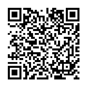 原本在自己饭桌乐呵的人此刻都将目光汇集在了胖子的身上二维码生成