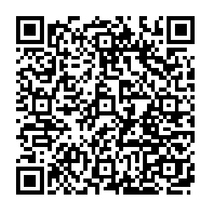 原本在这巨型金乌面前显得极为渺小的楚旬此刻也是已经变得比那三足金乌更加庞大了二维码生成
