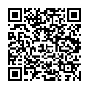 原本大圆满五星初级的苏落就已经是四年级第五名二维码生成