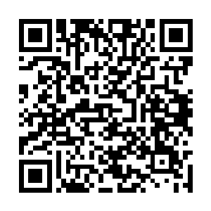 原本大长老倒是存了提拔她当一个内务总管的心思二维码生成