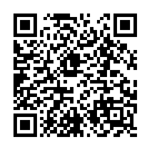 原本她就在一直奇怪小白为什么没有破开这些阵法二维码生成