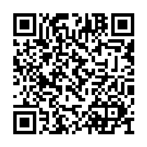 原本她想将对方擒下做奴仆――毕竟是初阶天仙二维码生成