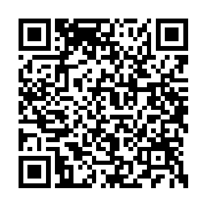 原本安静的白球小兽在那瞬间仿佛是抓狂了一样二维码生成