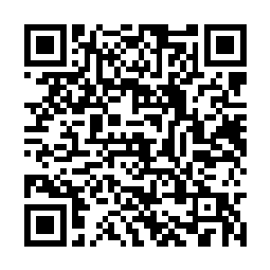 原本寂静的观众此时却一个个跟打了鸡血似的激动二维码生成