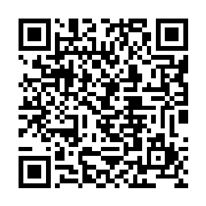原本富丽堂皇的大殿顿时也是瞬间变得摇摇欲坠起来二维码生成