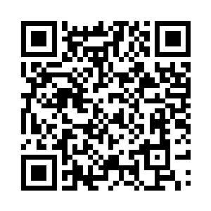 原本对苏林很有信心的苏牧尘和苏小胖二维码生成