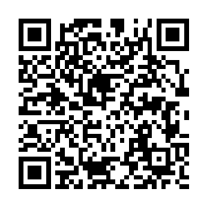 原本就有些苍白得脸色在阳光下越加显得透明温润二维码生成