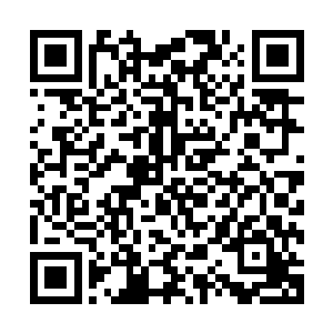 原本就有的一缕真气很快便将这些吸收得灵气吞噬转化为真气二维码生成