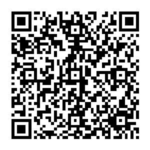 原本属于仙界的九彩幽藤和流墨墨的那个基本斩断羁绊的大姐流清茶和小侄女儿流小乖二维码生成