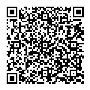 原本已经像闪电一般飞跃了出去的虎先生回头看了一眼手里拿着装着自己儿子的灵兽袋的无能人类二维码生成