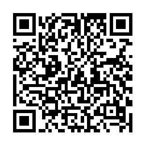 原本已经没有生息的身体忽然开始焕发出一道道生机二维码生成