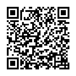原本已经渐渐开始溃败的楚京也似乎突然之间变得力气倍增二维码生成