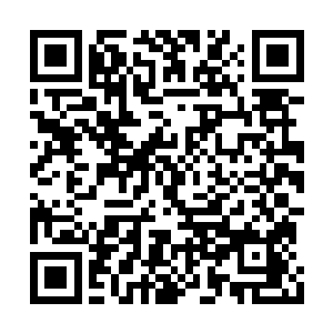 原本平静无波的面容在沉静中慢慢掀起一丝波澜二维码生成