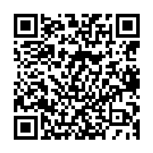 原本幽暗的洞穴在五个蛋消失的时候顺然被染成暗暗的荧绿色二维码生成