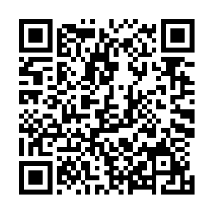 原本悬浮在公孙志身后的屠神之剑也是一下子出现在他手中二维码生成