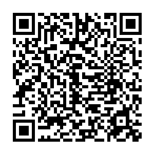 原本想发挥作用的理智也在这张小脸儿柔软而有弹性的触感下烟消云散二维码生成