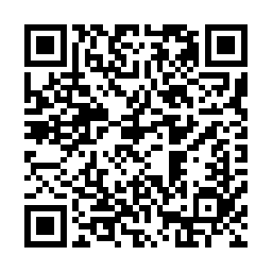 原本想要来叶府看看能不能先从叶玥手里拿到最重要的东西二维码生成