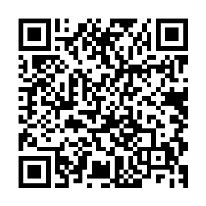 原本我还在想着要如何混入白家而不引起别人的注意展开调查二维码生成