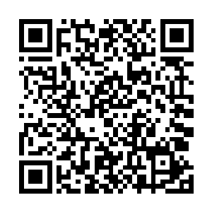 原本抓住凌兰右臂的手似乎感觉如抓到了一条滑腻的鳝鱼二维码生成