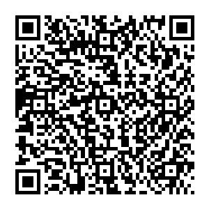 原本无力抽搐的经脉丹田自主的吸收了一丝丝外界的天地灵气刚在丹田汇聚了一点五彩斑斓的灵力二维码生成