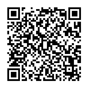 原本无聊的趴在旁边甩尾巴听八卦的妮娜听到这个名字突然抬起了头二维码生成