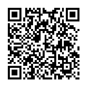 原本是想把这一招放在搏杀之术当中作为杀招的二维码生成