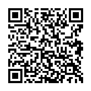 原本是打算派遣倪家的家主倪道溪来主持此事的二维码生成