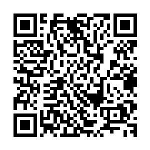 原本来安静的听着两人对话的月族老和巫二爷都诧异的看向他二维码生成