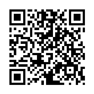 原本柳叶上的脉络都是鲜红如血一般的脉络的二维码生成
