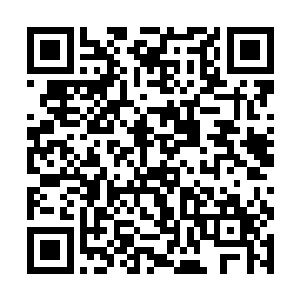 原本正准备离开的狐狼佣兵团的程亮以及何天云等人二维码生成