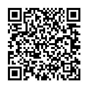 原本正沉浸在悲痛里的力易听到这话身体不由得一震二维码生成