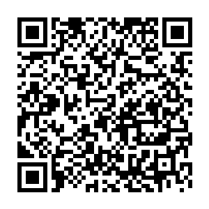 原本此地乃是迦叶大世界七大金刚法王之中第三法王天岚金刚的佛国二维码生成