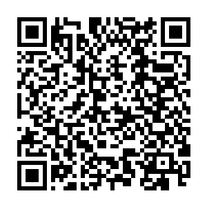 原本浓郁得看不清近在咫尺的同伴面容的灵气・都向着许紫烟的方向急速地流动二维码生成