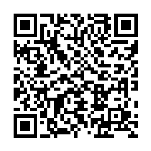 原本猎海联盟和四大宗派联手营造的一片大好形势的部署二维码生成